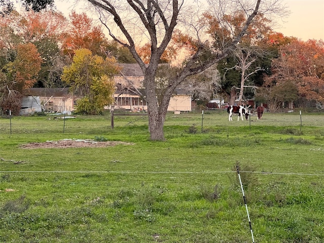 view of yard at dusk