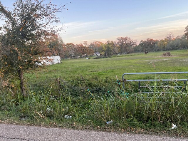 view of yard at dusk