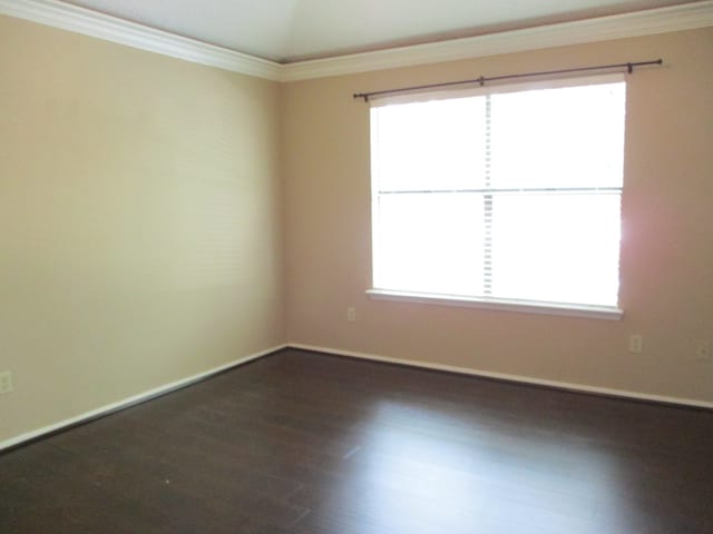 spare room featuring dark hardwood / wood-style floors, plenty of natural light, and ornamental molding