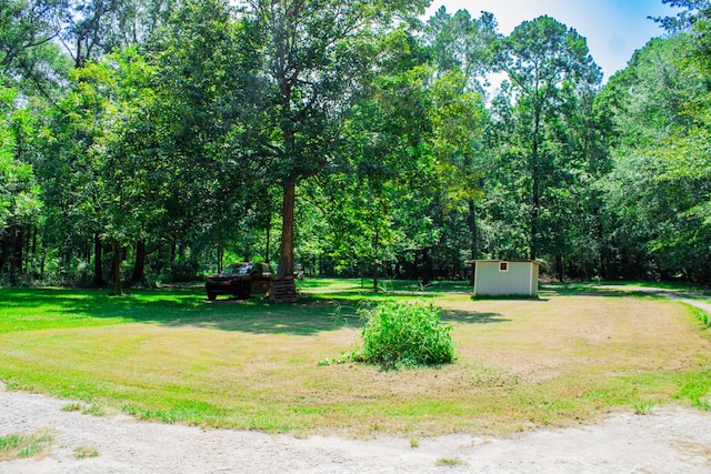 view of yard with a shed