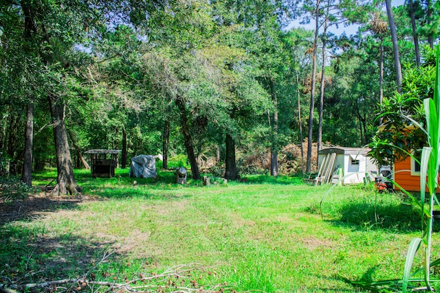 view of yard with a storage shed