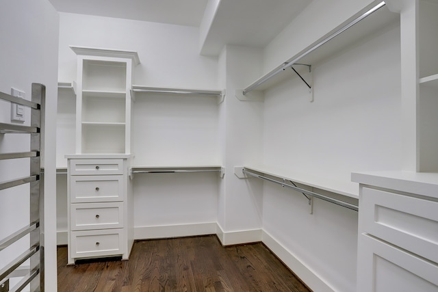 spacious closet featuring dark hardwood / wood-style flooring