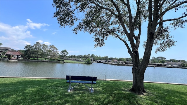 property view of water