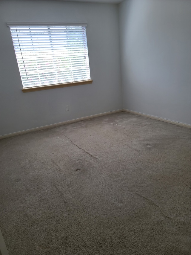 empty room featuring carpet