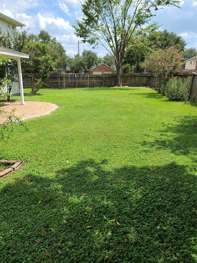 view of yard with a patio area