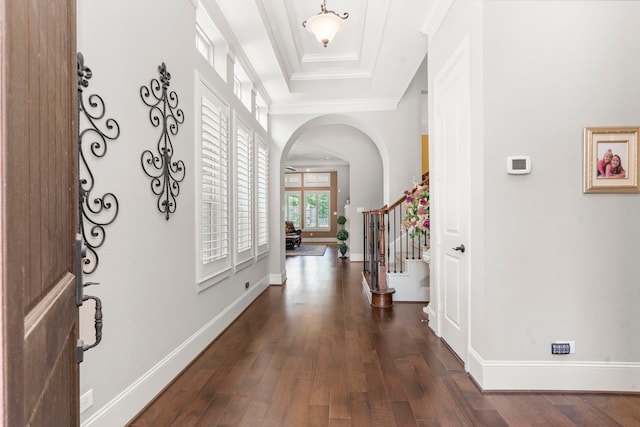 foyer with dark hardwood / wood-style flooring, a tray ceiling, and crown molding