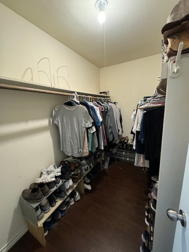 spacious closet featuring hardwood / wood-style flooring