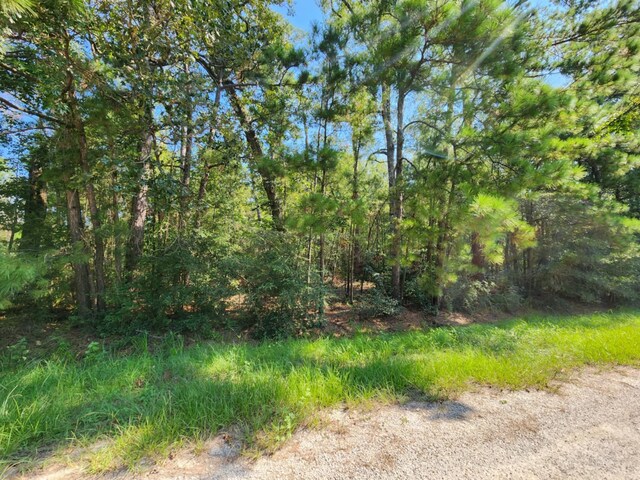 Listing photo 2 for TBD County Road 6383, Dayton TX 77535