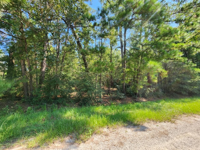 Listing photo 2 for TBD County Road 6383, Dayton TX 77535