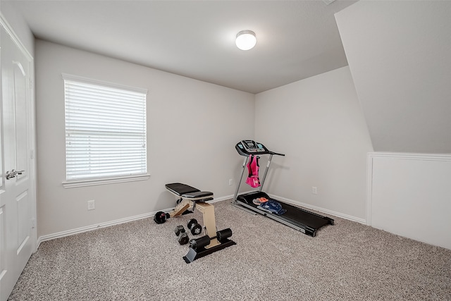 workout area featuring carpet flooring