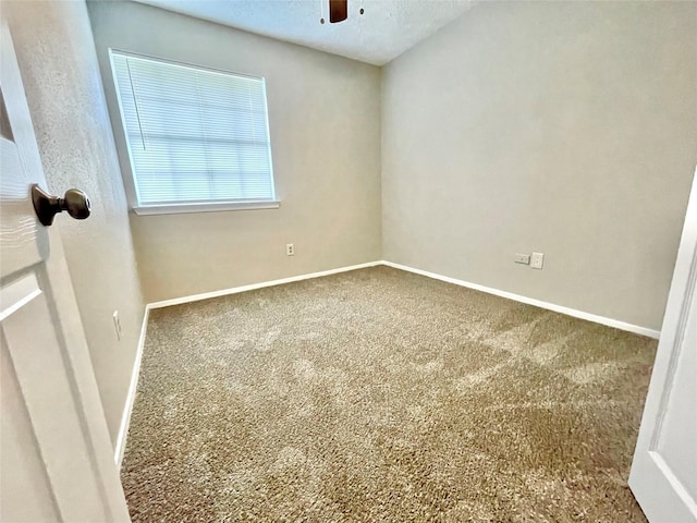 spare room featuring carpet flooring