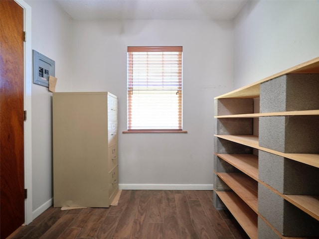 walk in closet featuring dark hardwood / wood-style floors