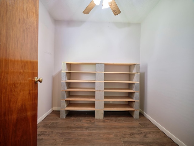 spacious closet with ceiling fan