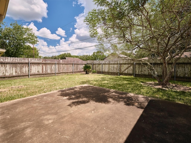 view of yard featuring a patio