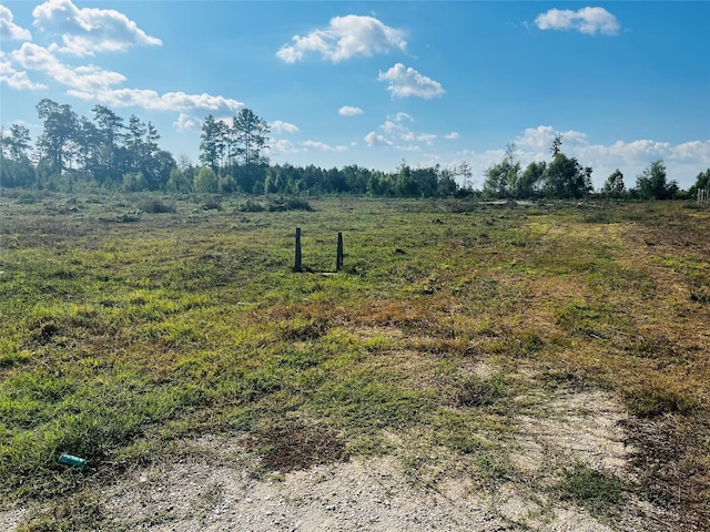 2380 County Road 3405, Cleveland, TX 77327 - photo 3
