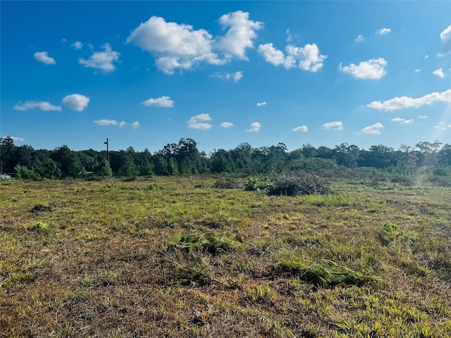 2380 County Road 3405, Cleveland, TX 77327 - photo 6