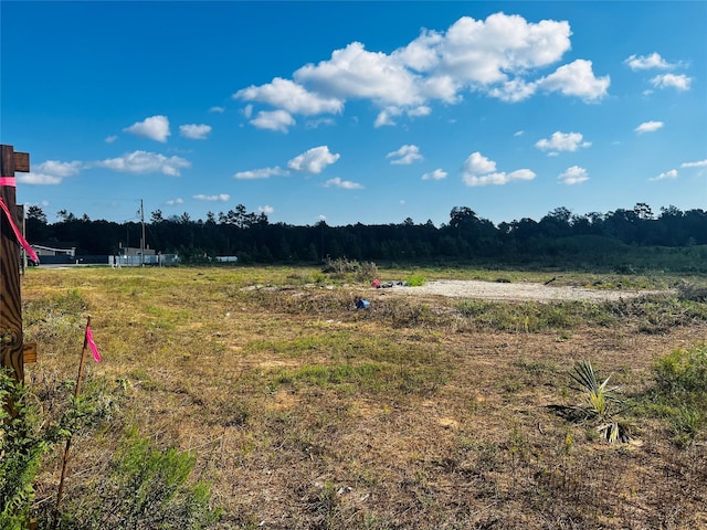 2380 County Road 3405, Cleveland, TX 77327 - photo 8