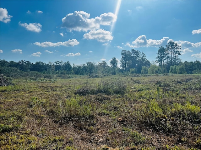 2380 County Road 3405, Cleveland, TX 77327 - photo 9