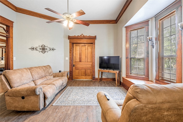 living room featuring ceiling fan, hardwood / wood-style flooring, and crown molding