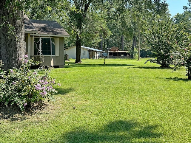 view of yard