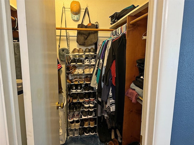 view of walk in closet