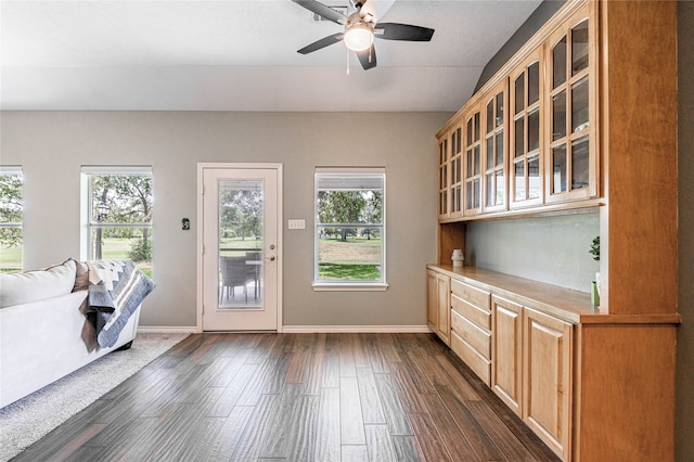 interior space with dark wood-type flooring, ceiling fan, and a healthy amount of sunlight