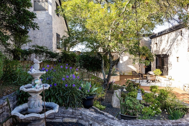 view of yard with a patio area