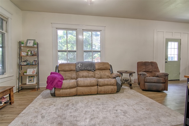 living room featuring light hardwood / wood-style floors