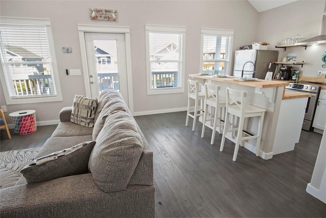 living room featuring dark wood-type flooring and lofted ceiling