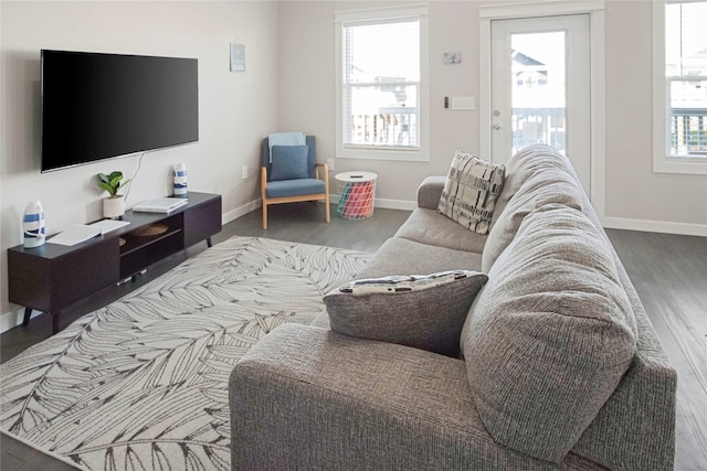 living room featuring wood-type flooring