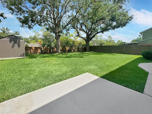 view of yard featuring a storage unit and a patio area