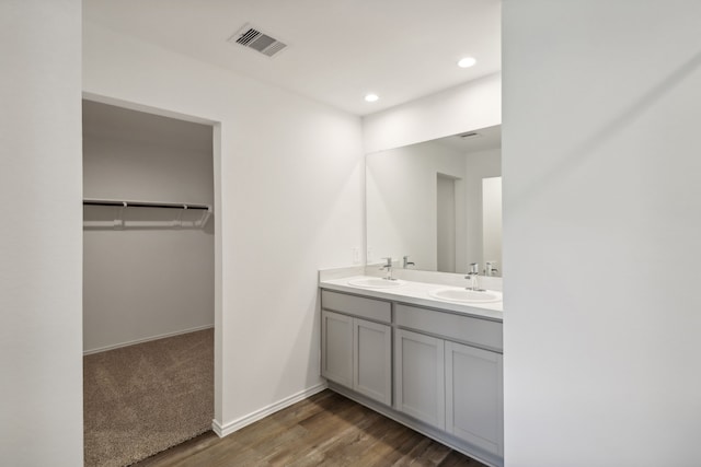 bathroom with hardwood / wood-style flooring and vanity