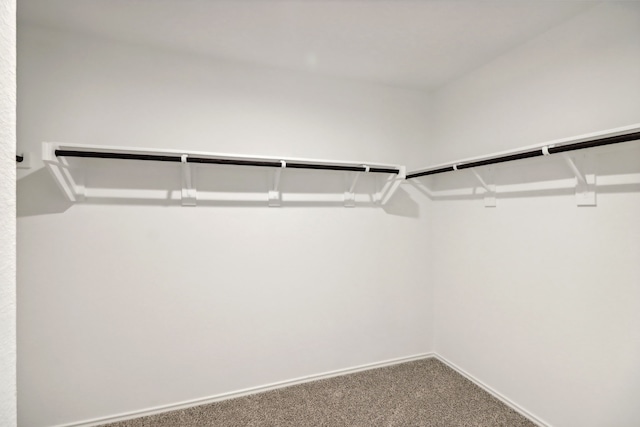 walk in closet featuring carpet flooring