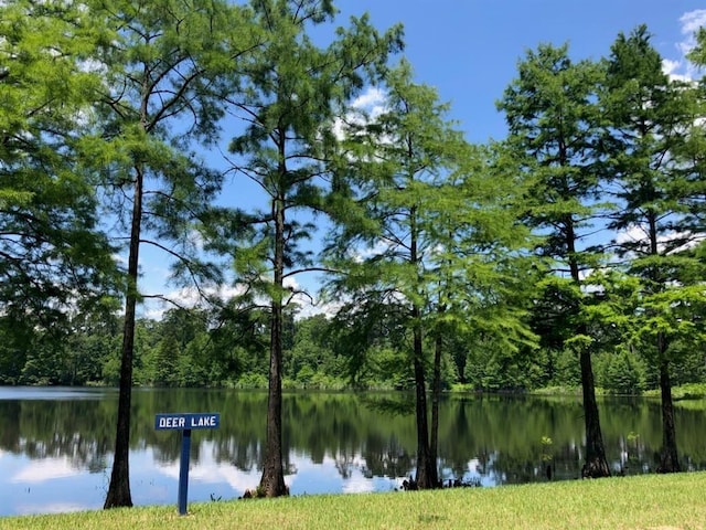 view of water feature