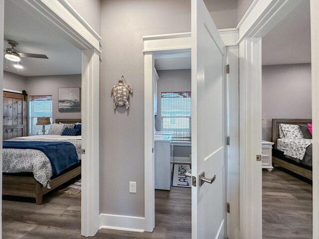 interior space featuring ceiling fan and dark hardwood / wood-style floors