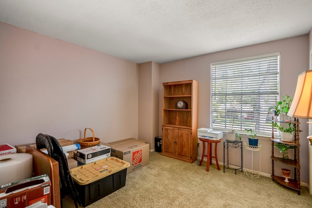 interior space with a textured ceiling and light carpet