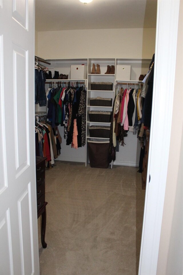 walk in closet with light carpet