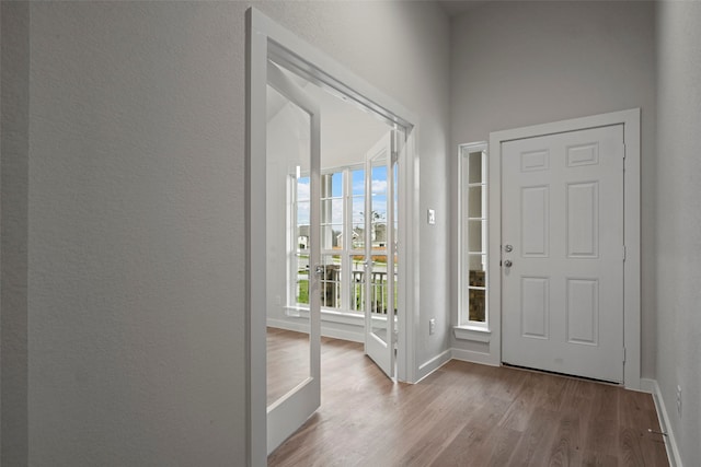 foyer featuring wood-type flooring