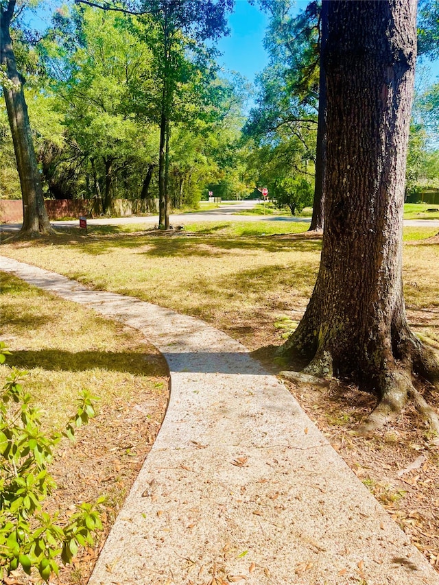 view of property's community with a lawn