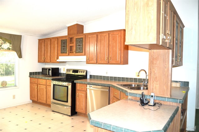 kitchen featuring lofted ceiling, stainless steel appliances, sink, ornamental molding, and kitchen peninsula