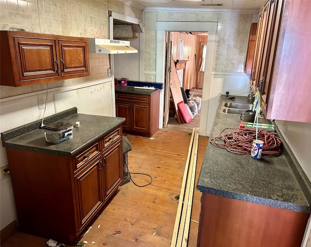 kitchen with tasteful backsplash, sink, light wood-type flooring, and ventilation hood