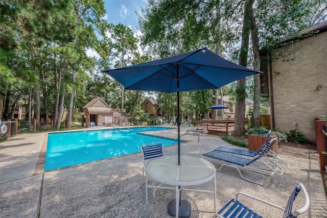 view of swimming pool featuring a patio