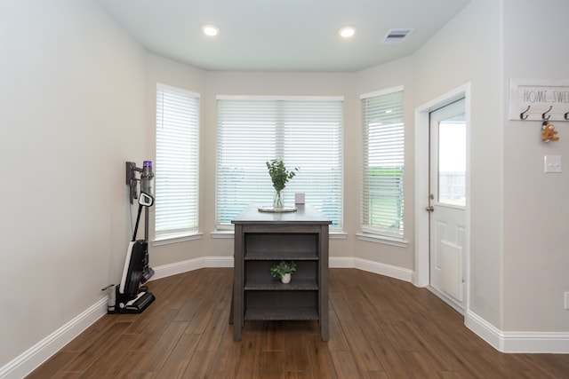 interior space featuring dark hardwood / wood-style flooring