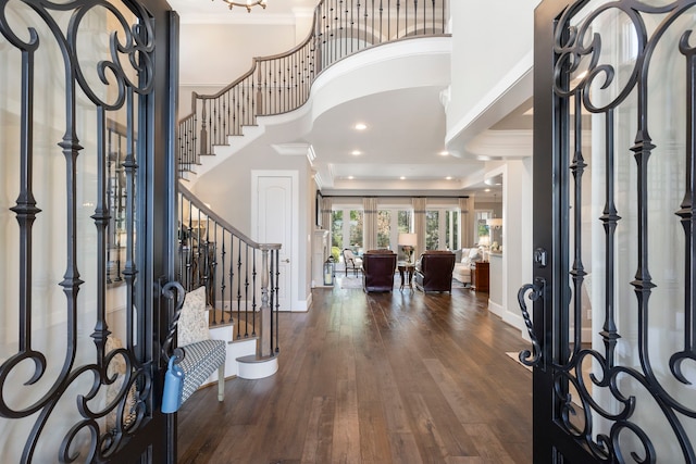 entryway with a raised ceiling, dark hardwood / wood-style floors, a high ceiling, and ornamental molding