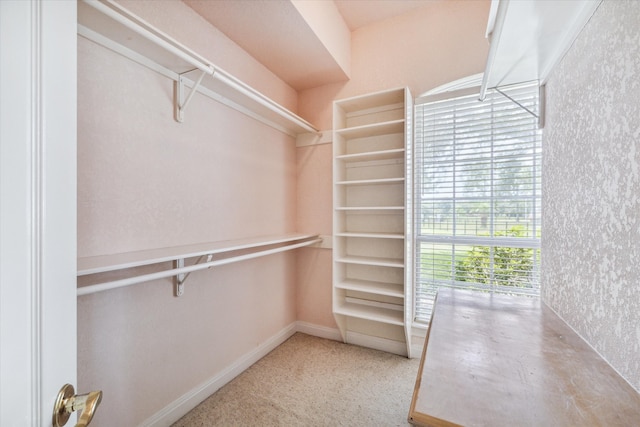 view of walk in closet