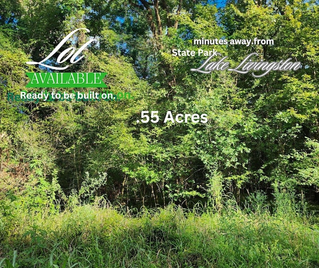 0 The Woods Rd, Coldspring TX, 77331 land for sale