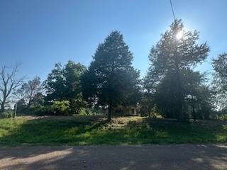 717 Fm 2968, Grapeland, TX 75835 - photo 5