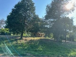 717 Fm 2968, Grapeland, TX 75835 - photo 6