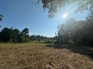 717 Fm 2968, Grapeland, TX 75835 - photo 12