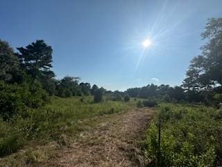 717 Fm 2968, Grapeland, TX 75835 - photo 13